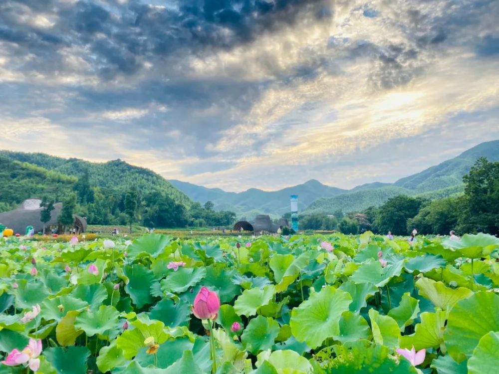 安吉餘村旅遊賦能浙江鄉村振興紀實