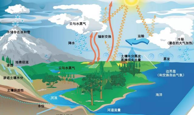 馬里亞納大海溝每年吞噬數億噸海水為何海平面沒降反升