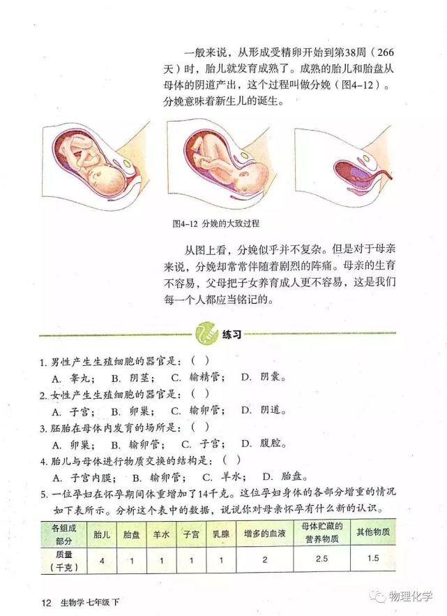 貯存和輸送精子輸精管:輸送精子外生殖器精囊腺和前列腺:分泌黏液陰囊