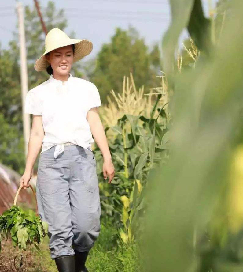 清华博士后石嫣毕业后回国种地靠新模式农场年入八百万