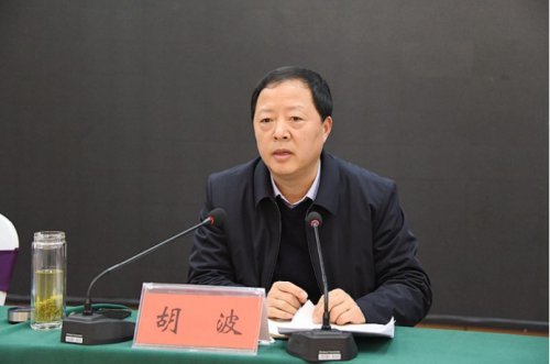 胡波要求,守初心,做为人师表的教育人;下决心,做担当有为的教育人;有