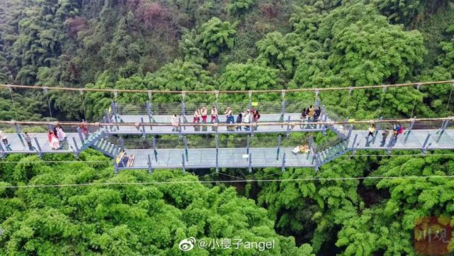 冬天來平樂古鎮川西竹海就對了|平樂古鎮|川西竹海|竹海|高空玻璃棧道