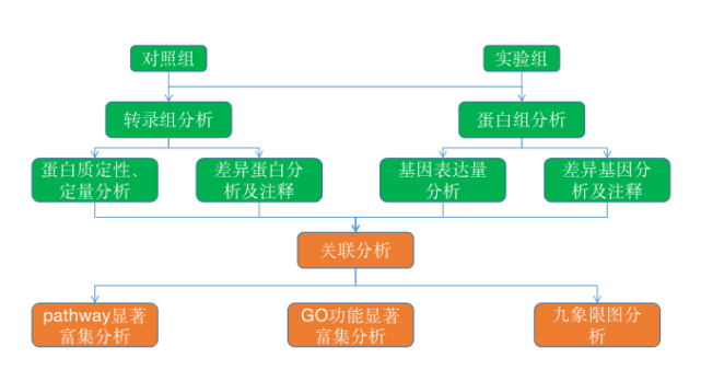 多组学联合分析到底分析些什么-转录组 蛋白组 代谢组篇