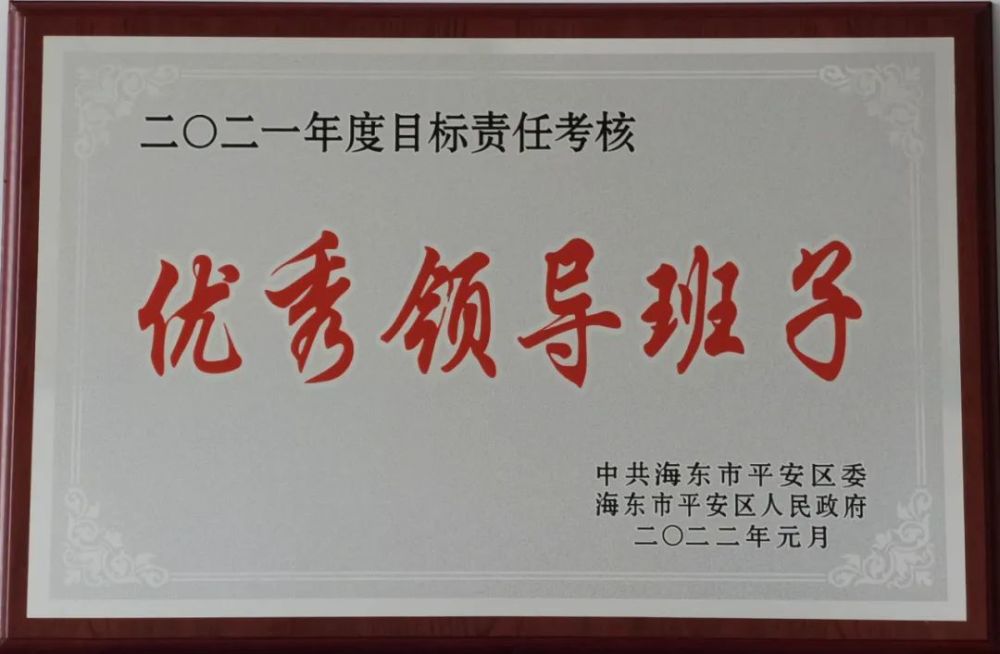 喜报海东市平安区公安局党委荣获2021年度全区优秀领导班子