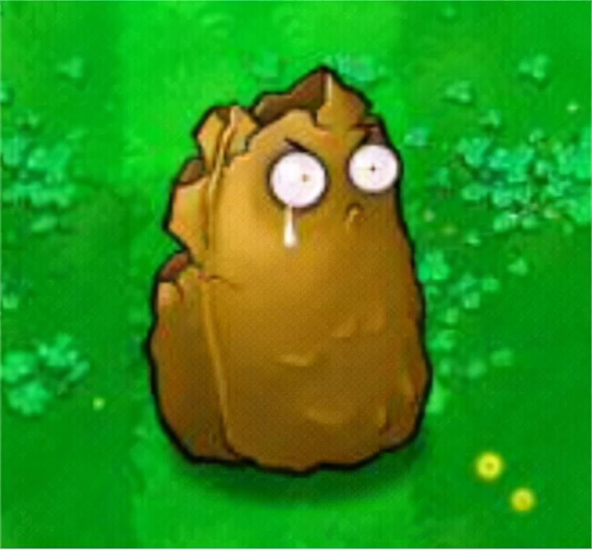 可能摆满高坚果让僵尸们啃一整局都不一定能看到一次僵尸鼓起的腮帮子