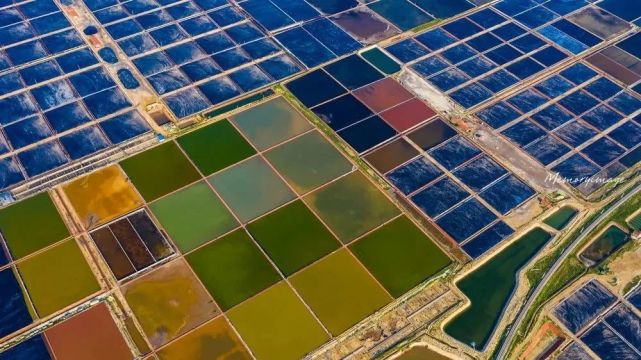 这里是滨海盐田