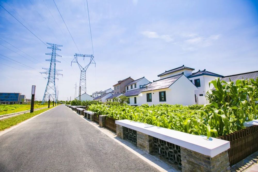 好消息奉贤这个镇获评上海市四好农村路示范镇