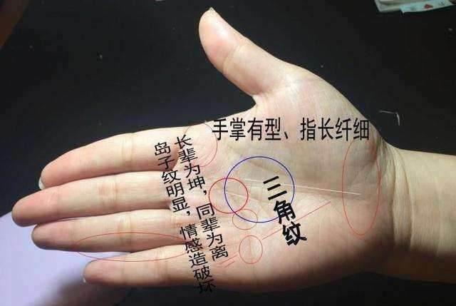 智慧线|感情线|断掌|手相