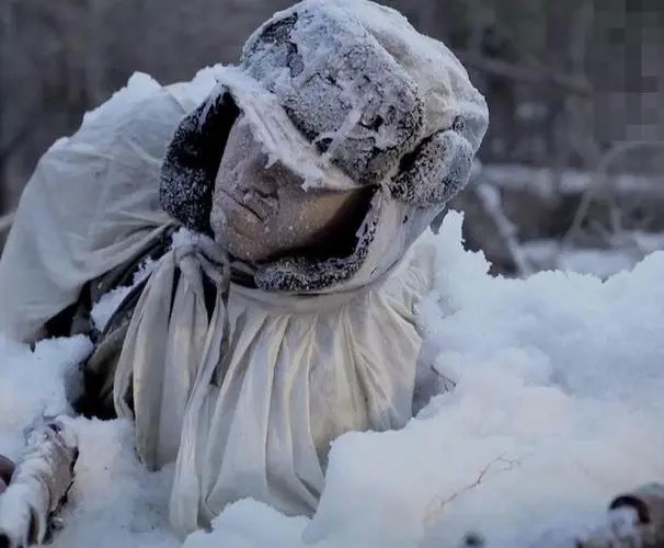 死,绝不后退半步生|王牌部队|军人|对越自卫反击战|战士|20军|长津湖