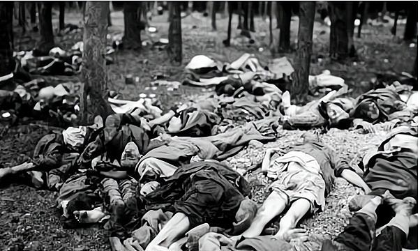 巴以冲突的起源,第1次中东战争,以色列的立国之战_腾讯新闻