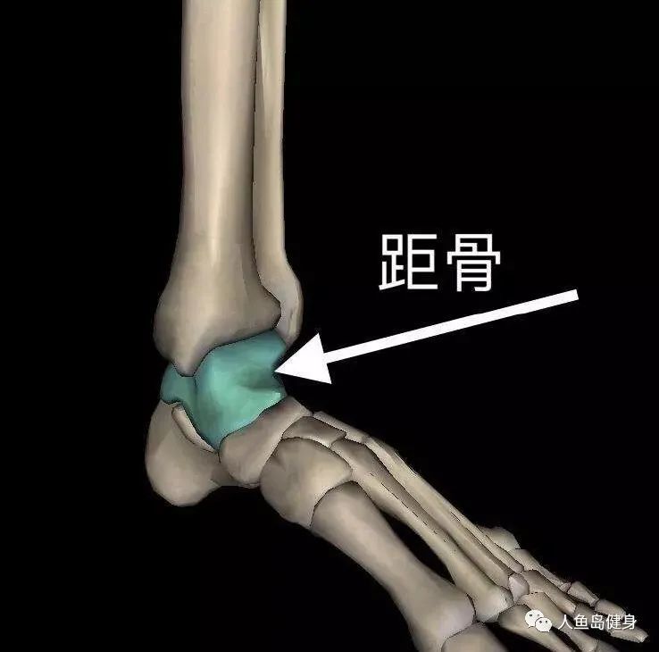 1,踝关节内的骨骼活动受限二,导致足背屈受限的原因足背屈受限,也称做