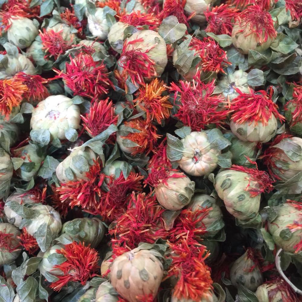 中药古今研究:红花_腾讯新闻