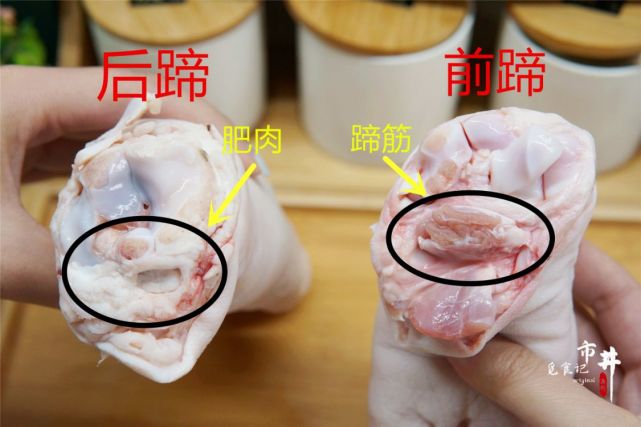 买猪蹄如何分清前蹄和后蹄区别挺大注意别买错了