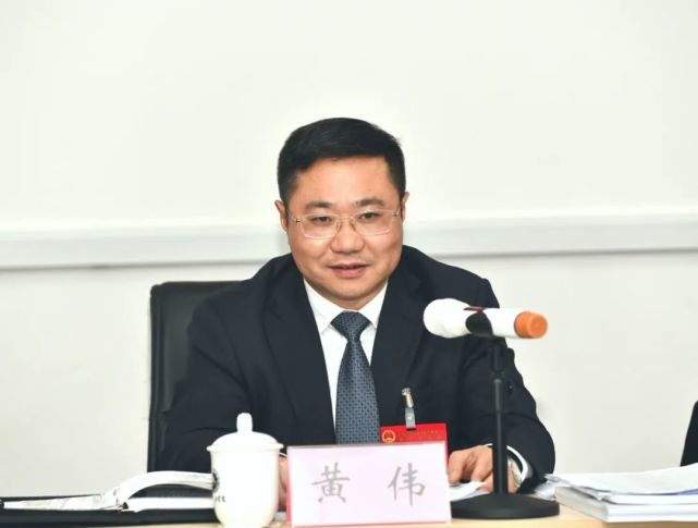 【聚焦市两会】黄伟到务川自治县代表团参加审议