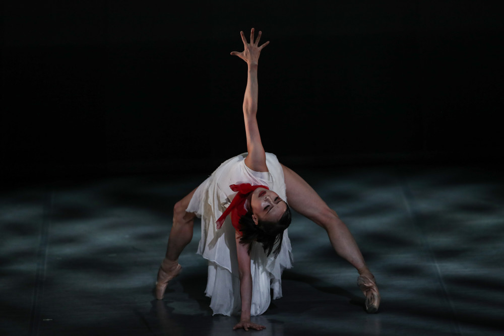 （文化）芭蕾舞剧《我的名字叫丁香》北京上演_腾讯新闻