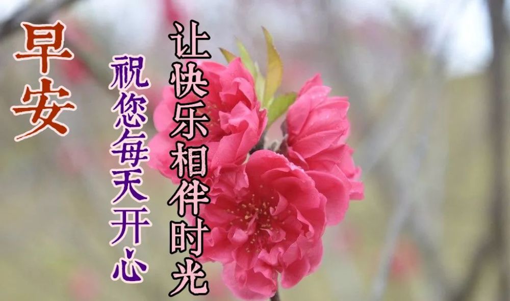 最新早安快乐吉祥句子问候短信微信朋友圈清新的早上好祝福图片带文字