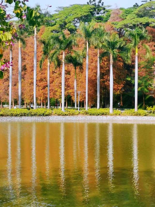 一幅幅美景,如油画,走进天河公园,踩着阳光,携着清风,冬阳暖暖,微风