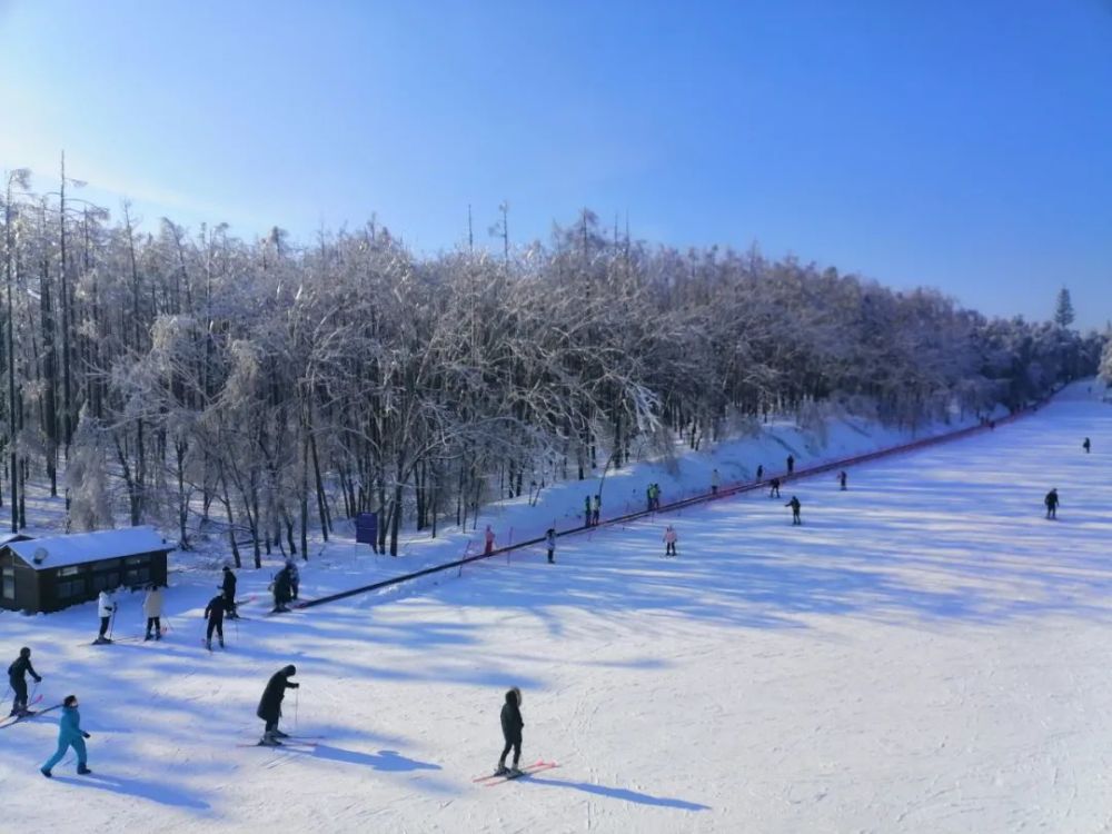 这个冬天,还没有来长春体验滑雪的小伙伴,看这里净月潭滑雪场位置优越