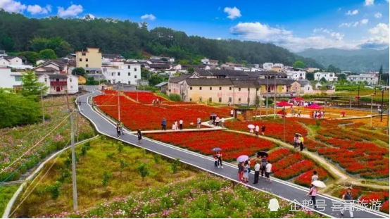 【大埔西河北塘乡村旅游区】位于广东省梅州市大埔县.
