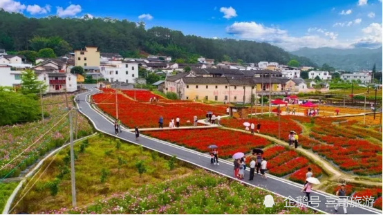 广东梅州市大埔县十大景区有哪些自驾游如何安排行程