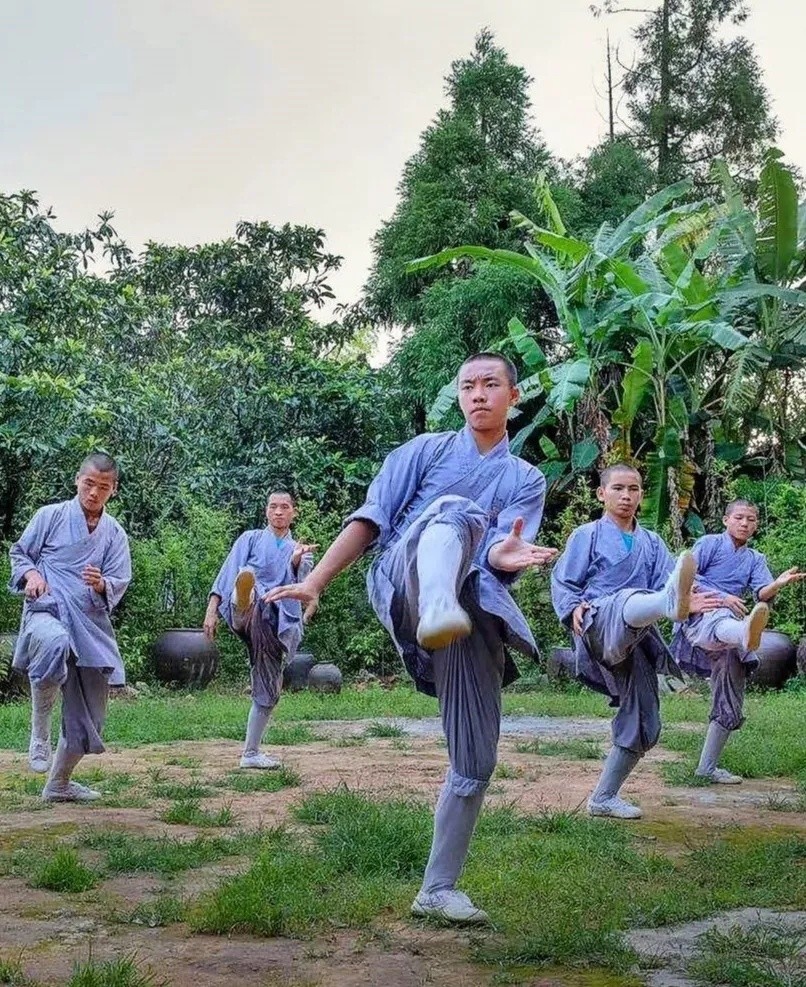 斬金繼林拳,飛鶴拳,食鶴拳等拳法現今仍保存著韋陀拳形成了古樸陽剛