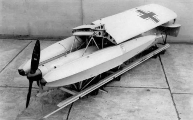 德国海军最初相中了阿拉多公司设计的ar 231型水上侦察机,采用伞型