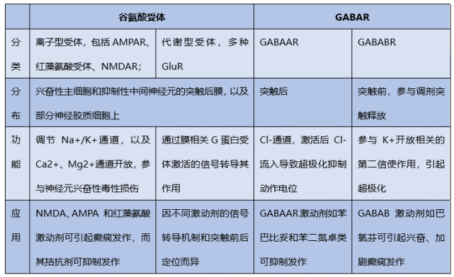 表1 谷氨酸受体和gaba受体对于"how"的理解需要从动作电位出发.