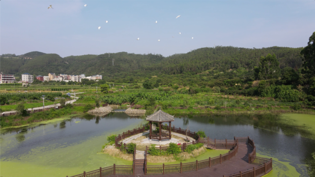 林紹良紀念館→海口鎮牛宅村:彌勒石佛造像,戚繼光抗倭遺址→城頭鎮