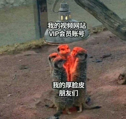 我和我的厚臉皮朋友們今天爆笑囧圖