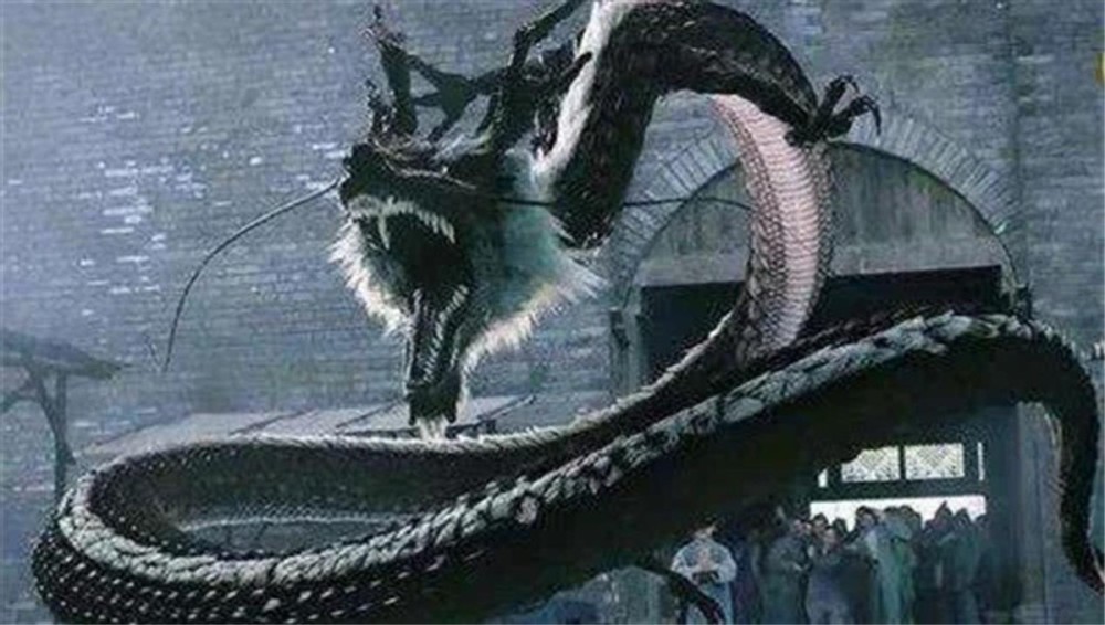 当年轰动一时的"营口坠龙",到底是怎么一回事?_腾讯新闻