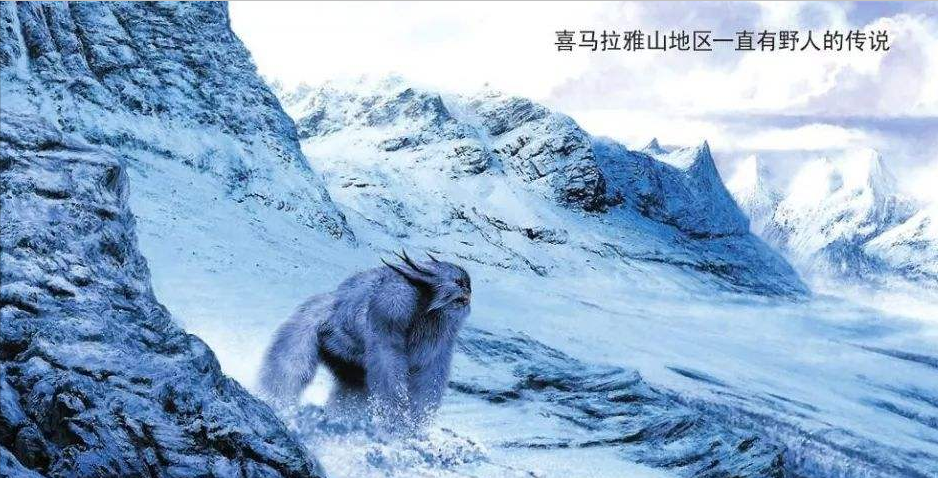 再看看雪地中巨大無比的腳印,難道說,關於