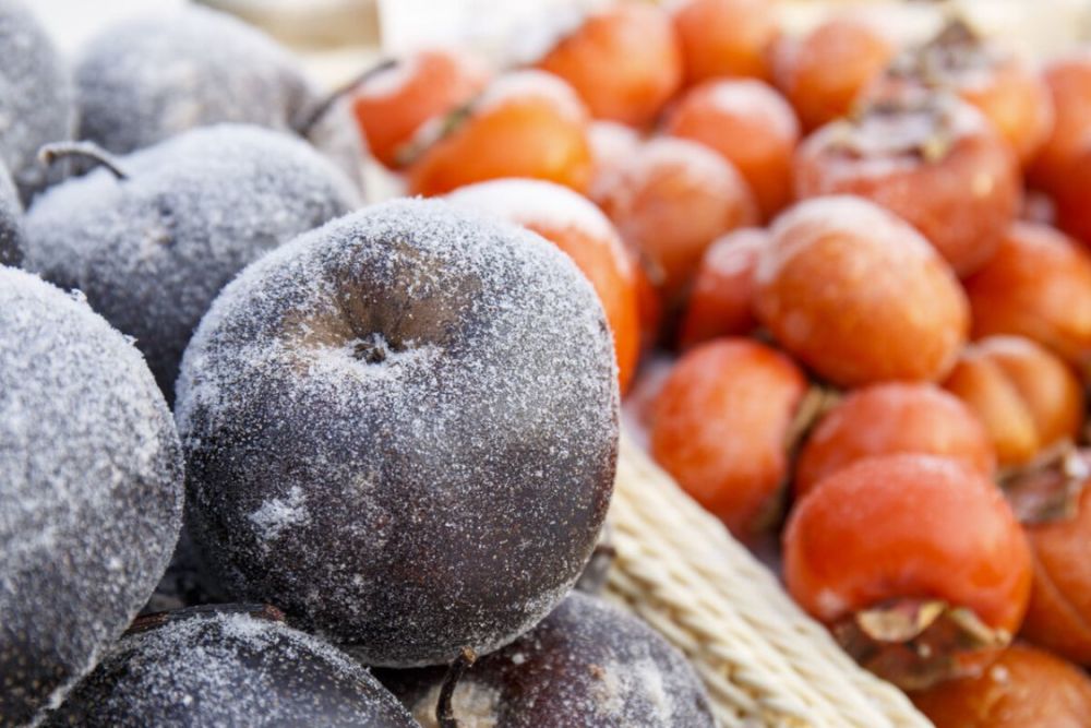 算是东北地区的特产,在冻果中有三样"资历"最老,那就是冻梨,冻柿子,冻