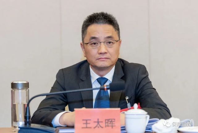 王太晖参加保康代表团分组审议:立足实际 保持定力 发挥优势 坚定不移