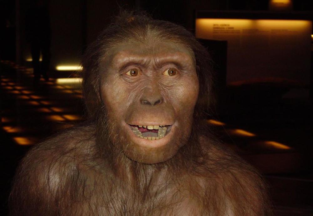 专家在1997年曾对猴娃曾繁胜的遗骨进行检测结果如何