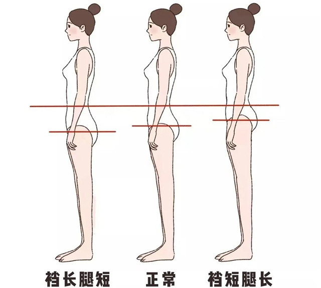 体重确实很重要,但同时大家也要注意比例,毕竟身材比例会比体重更影响