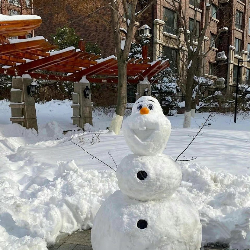 阳光下的雪人头像图片