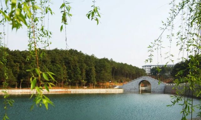 黄山学院2022年人才公开招聘预公告