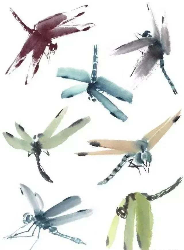 书画联盟丨国画教程蜻蜓画法