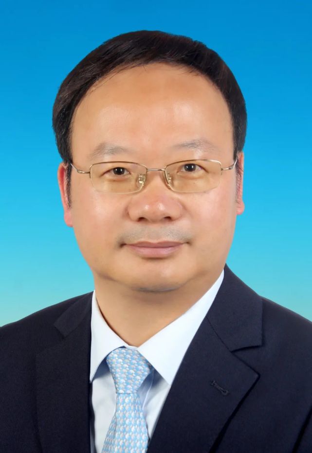 金山区人民政府区长副区长基本信息