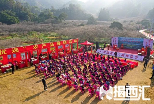 暗香浮动花开坪上揭西第六届梅花节隆重开幕