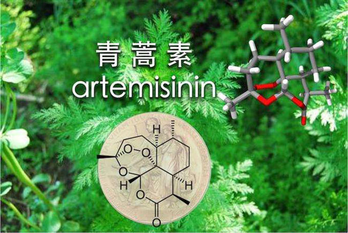 而让屠呦呦灵机一动的《肘后备急方》其实是葛洪的中医方剂著作