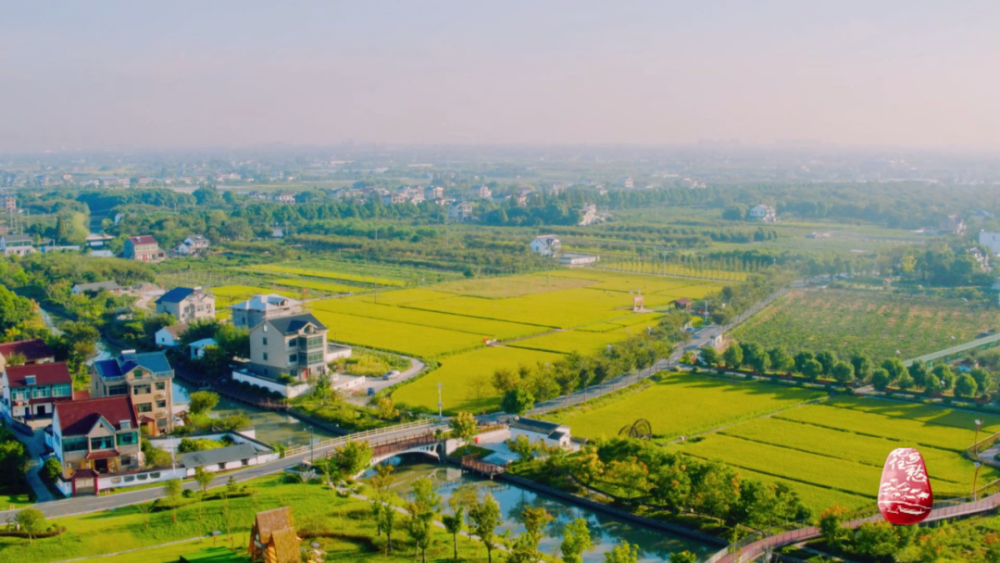 杭嘉湖平原东部,钱塘江入海口往北约30公里,有一片被稻香浸润的地方