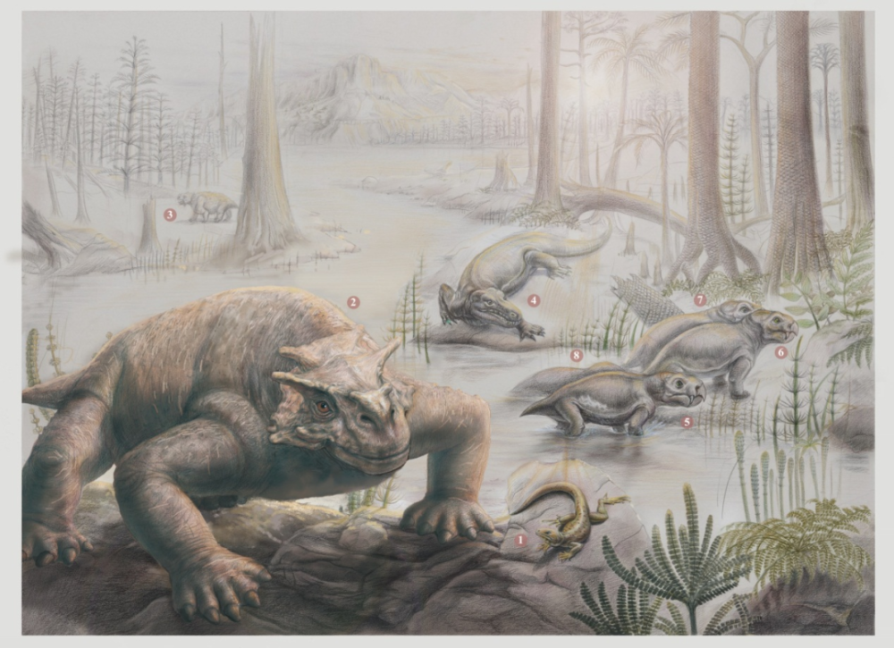 陆地四足动物从二叠纪到三叠纪面貌发生了显著变化:二叠纪兽孔类是