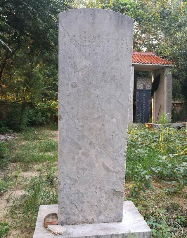 【青未了】孙智敏|曹南三槐堂王氏左丞之王老林_腾讯新闻