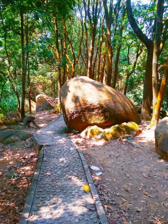 羊城火炉山上的旧时光