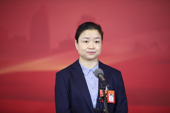 王菊仙代表建议立法制定河南省城镇燃气管理条例