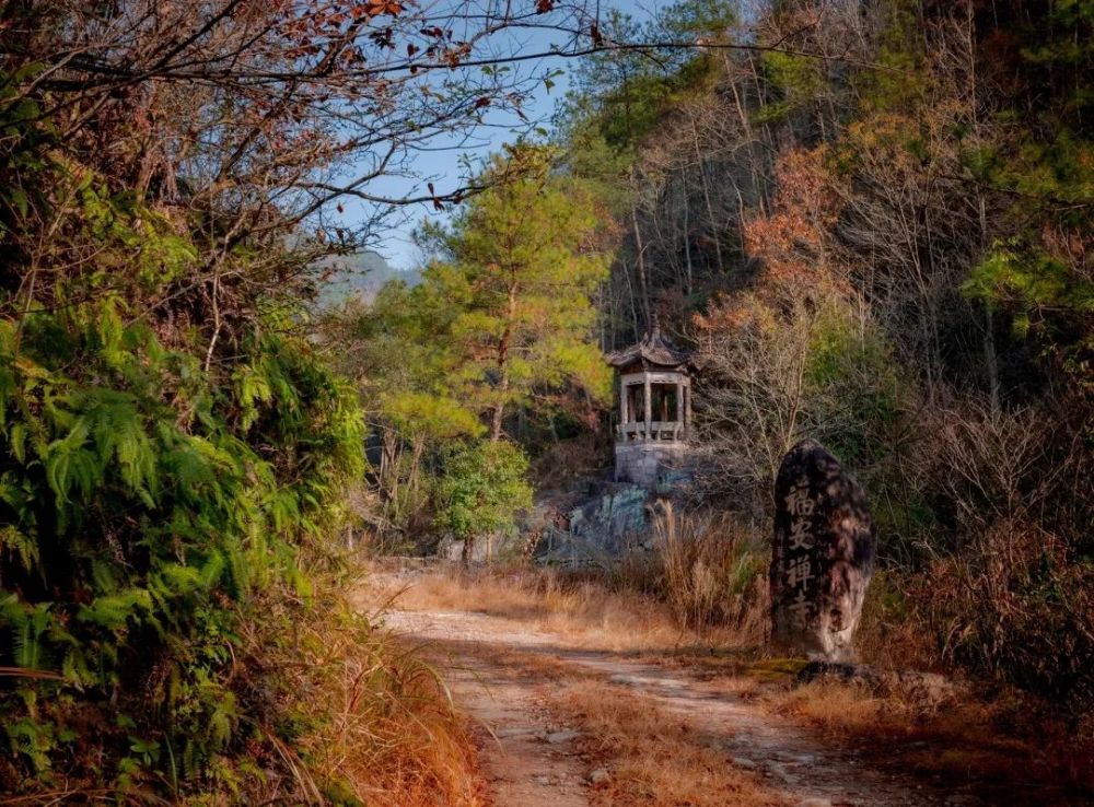 探秘六石桐坑古道,领略不一样的绝美风景!_腾讯新闻