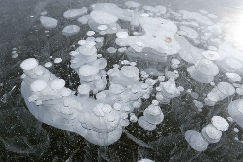 哈尔滨要火了松花江出现冰气泡奇观网友是天灾的预警吗