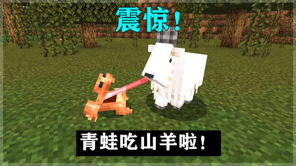 Minecraft本周奇葩新闻 青蛙一口 吞掉 山羊 竖半砖快来了 天天看点