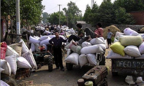 农业税在我国历史上曾存在了几千年,古代农民种地,无论庄稼丰收还是